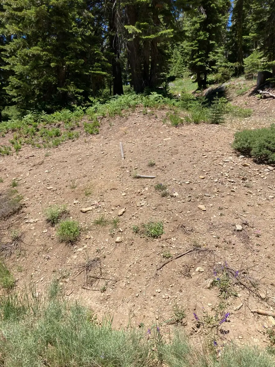 179 Norton Meadows Rd., Bucks Lake, CA 95971 - Image #3