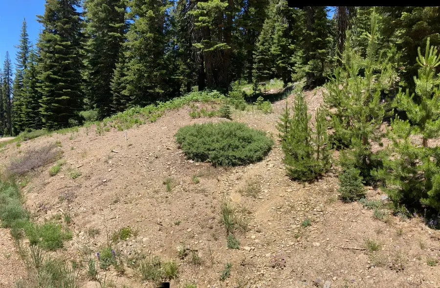 221 Norton Meadows Rd., Bucks Lake, CA 95971 - Image #2