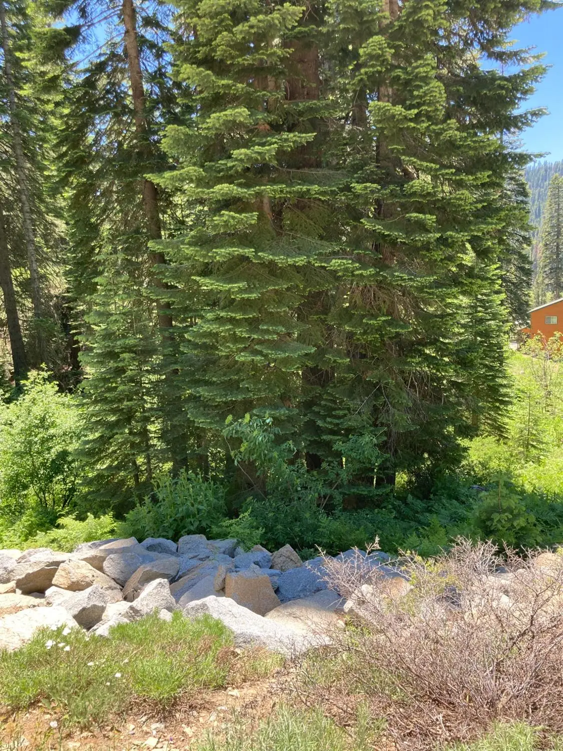 230 Norton Meadows Rd., Bucks Lake, CA 95971 - Image #1