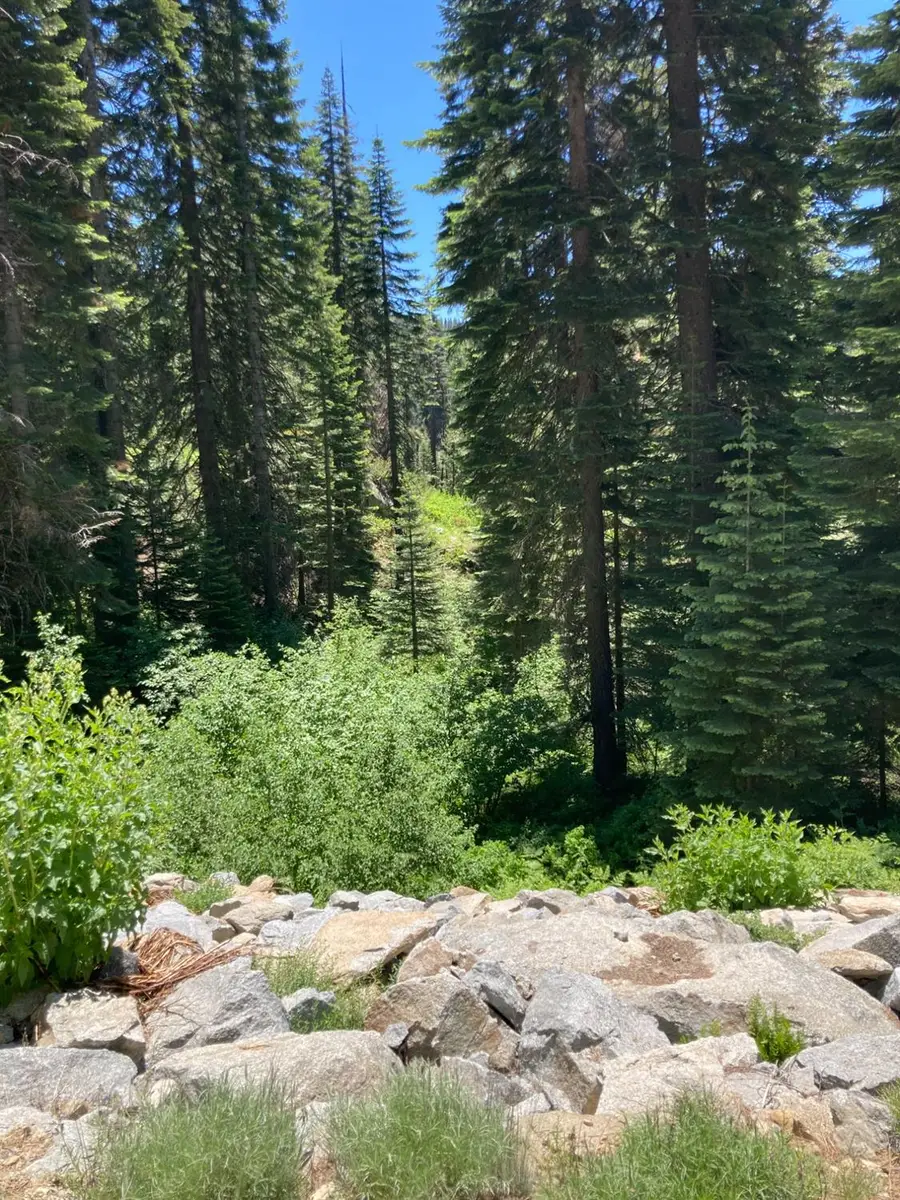 230 Norton Meadows Rd., Bucks Lake, CA 95971 - Image #2