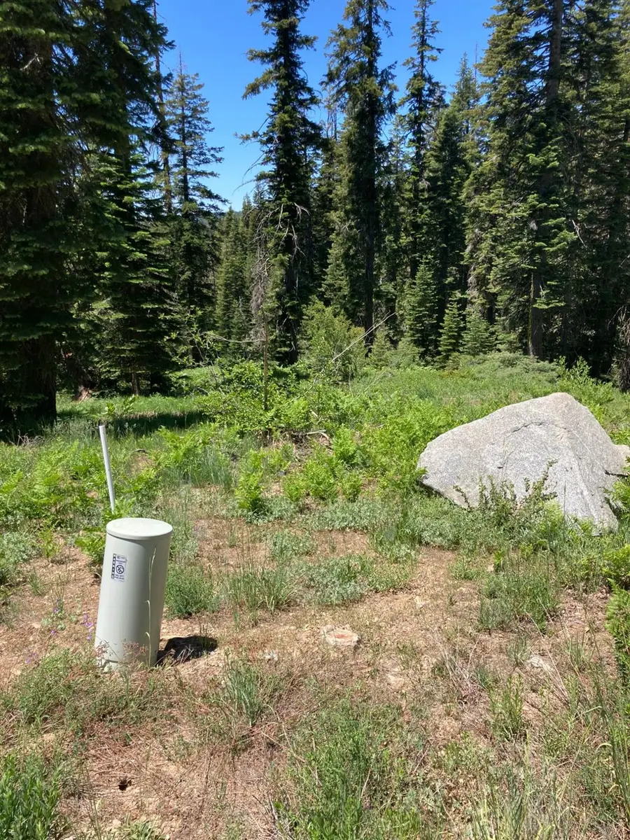 352 Norton Meadows Rd., Bucks Lake, CA 95971 - Image #2