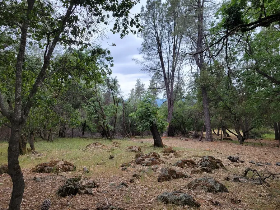 16700 Alice Way, Grass Valley, CA 95949 - Image #2