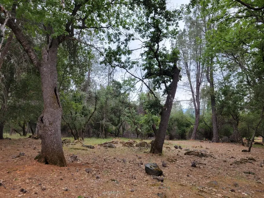 16700 Alice Way, Grass Valley, CA 95949 - Image #3