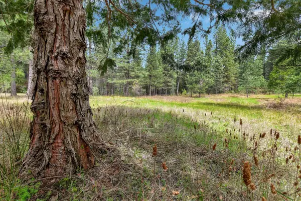 13824 Baker Road, Camptonville, CA 95922