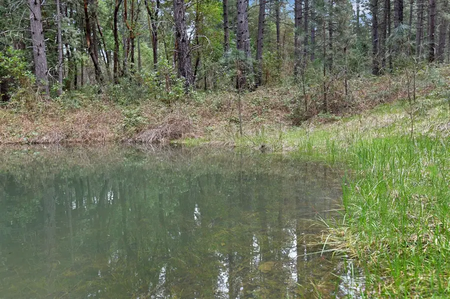 13824 Baker Road, Camptonville, CA 95922 - Image #2