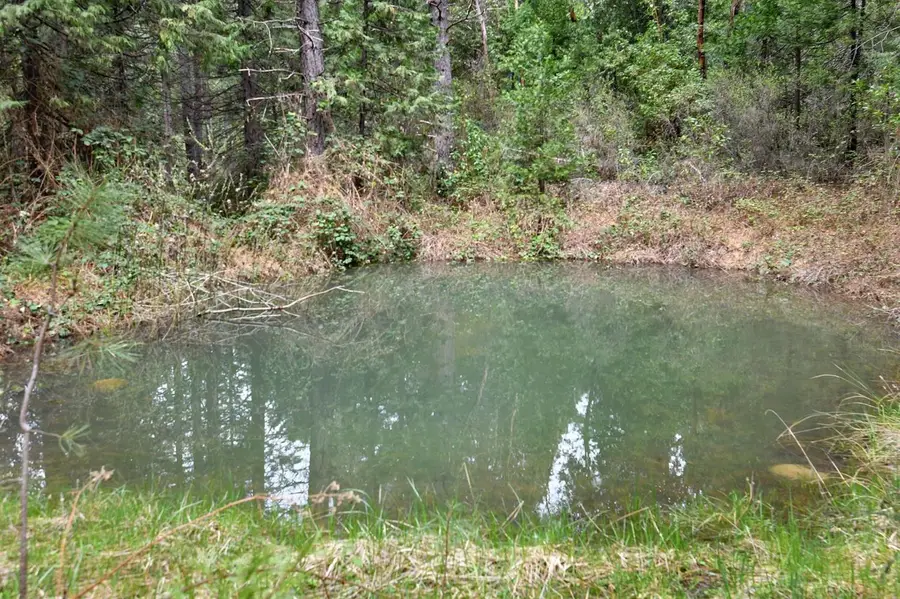 13824 Baker Road, Camptonville, CA 95922 - Image #3