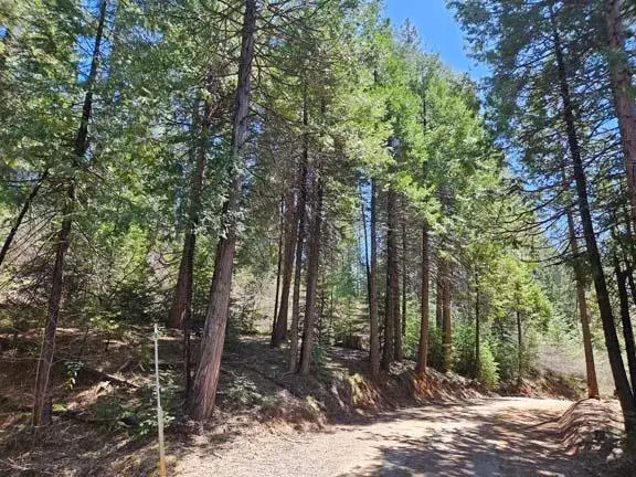 1 Indian Diggins Road, Somerset, CA 95684