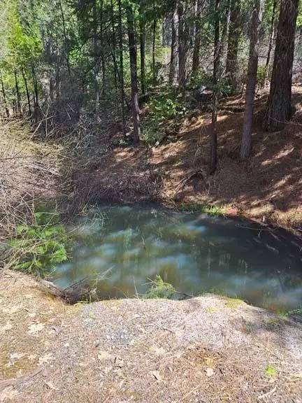 1 Indian Diggins Road, Somerset, CA 95684 - Image #2