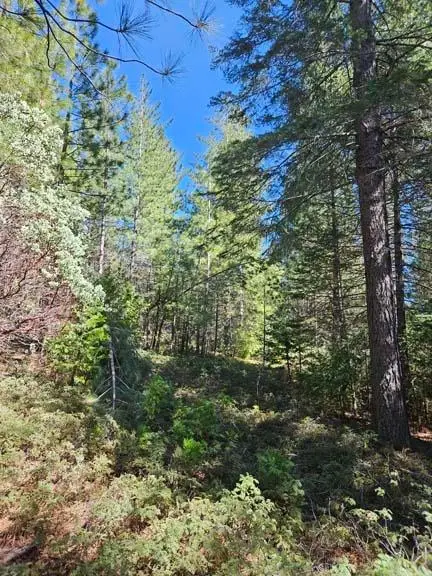 1 Indian Diggins Road, Somerset, CA 95684 - Image #3