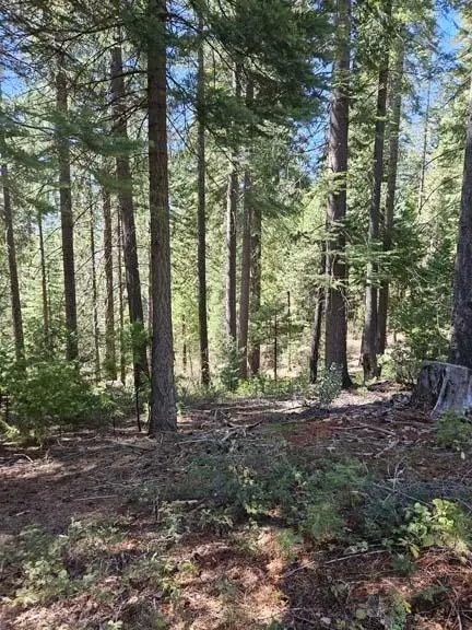 2 Indian Diggins Road, Somerset, CA 95684 - Image #1