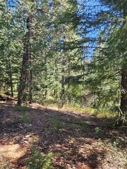 2 Indian Diggins Road, Somerset, CA 95684 - Image #2