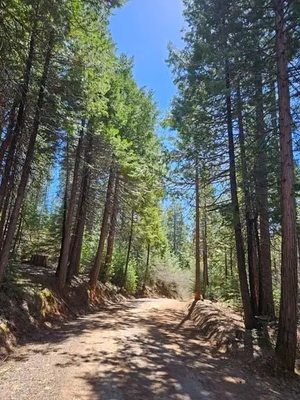 2 Indian Diggins Road, Somerset, CA 95684 - Image #3