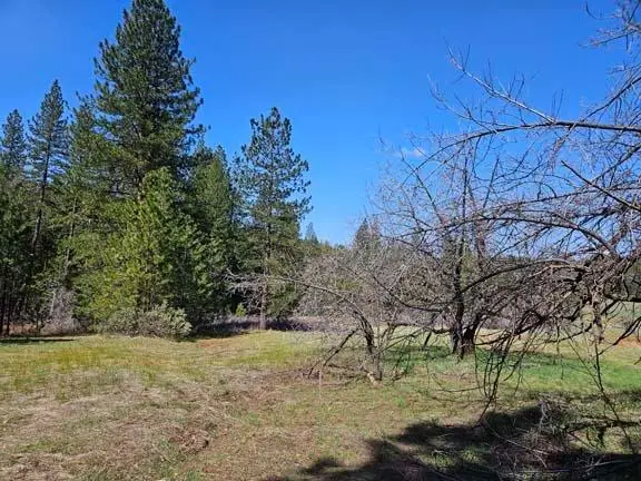 3 Indian Diggins Road, Somerset, CA 95684 - Image #3