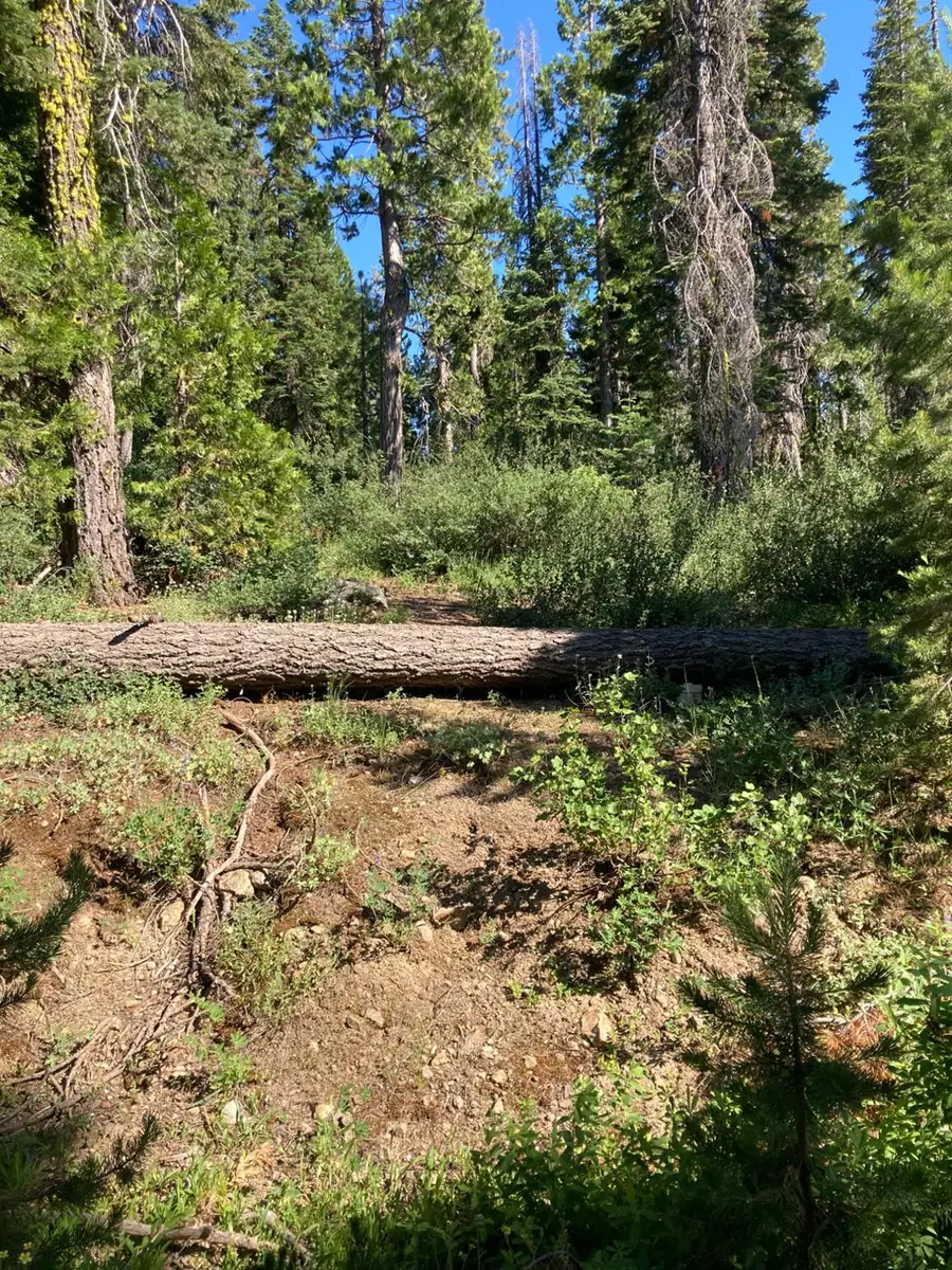 180 Bucks Meadow Drive, Bucks Lake, CA 95971 - Image #2