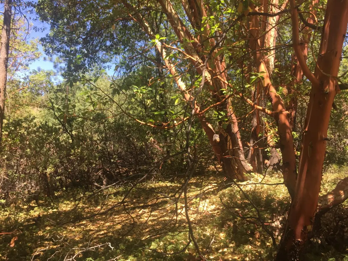 Address Withheld By Seller, Pioneer, CA 95666 - Image #1