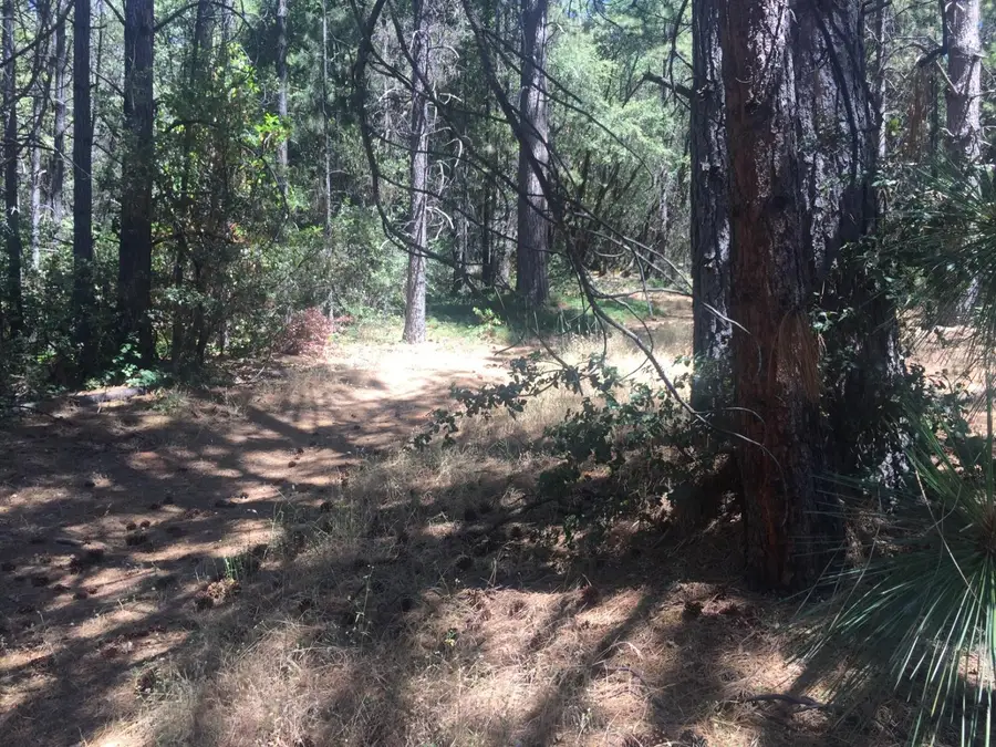 Address Withheld By Seller, Pioneer, CA 95666 - Image #3