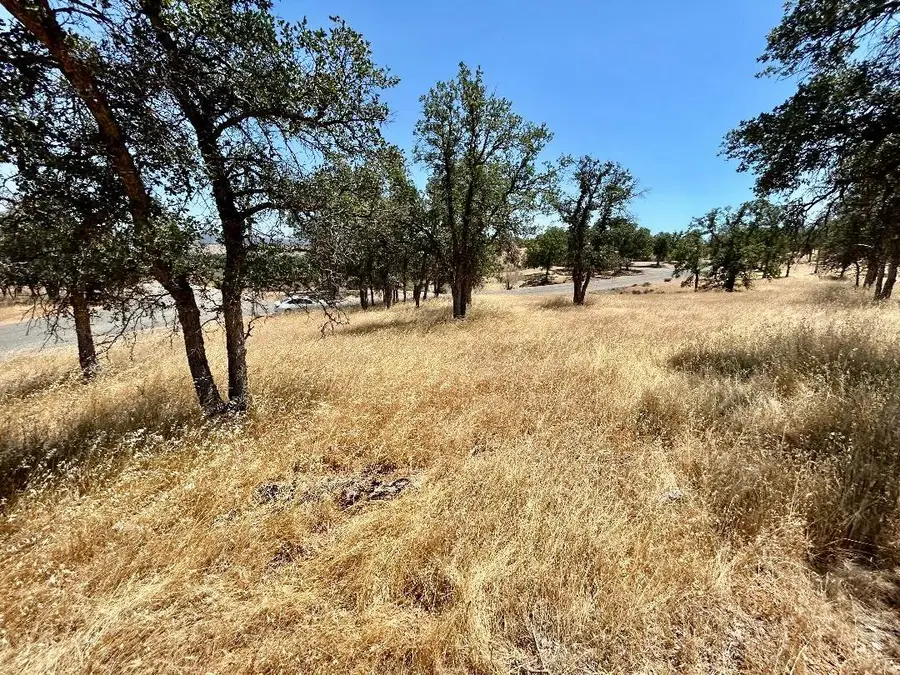 0 E Ruby King Road, Stonyford, CA 95979 - Image #2