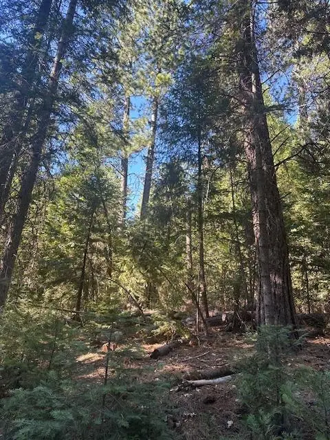 Address Withheld By Seller, Alta, CA 95701 - Image #3