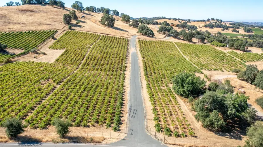 19940 Shenandoah School Road, Plymouth, CA 95669 - Image #2