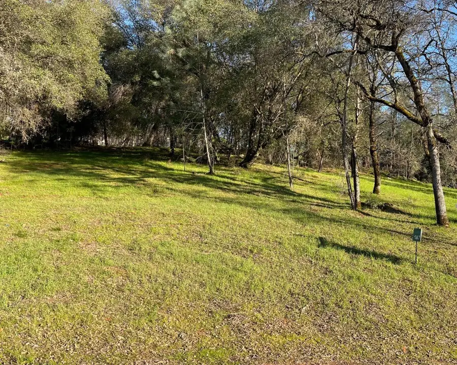 23285 Darkhorse Drive, Auburn, CA 95602 - Image #3