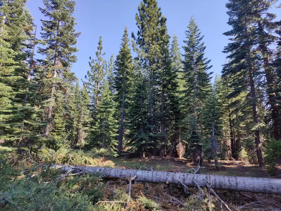 19372 Marsh Mill Road, Nevada City, CA 95959 - #3