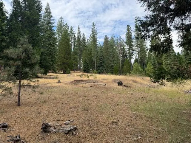 27488 Shake Ridge Road, Volcano, CA 95689 - Image #2
