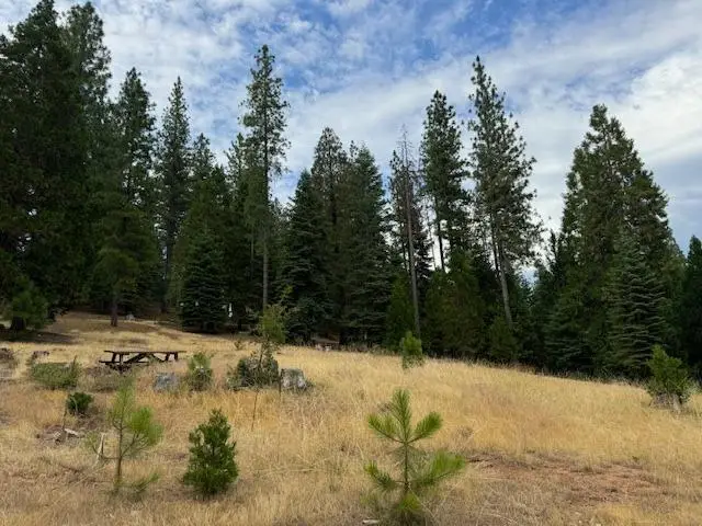 27488 Shake Ridge Road, Volcano, CA 95689 - Image #3