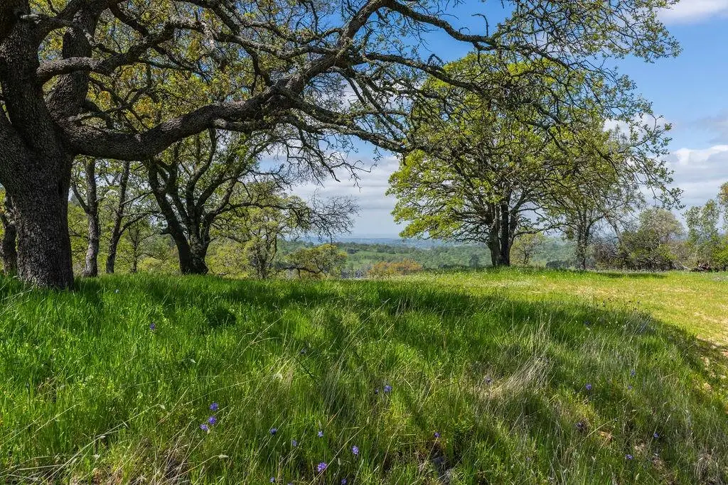 10859 Sunset Drive, Sutter Creek, CA 95685 - Image #1