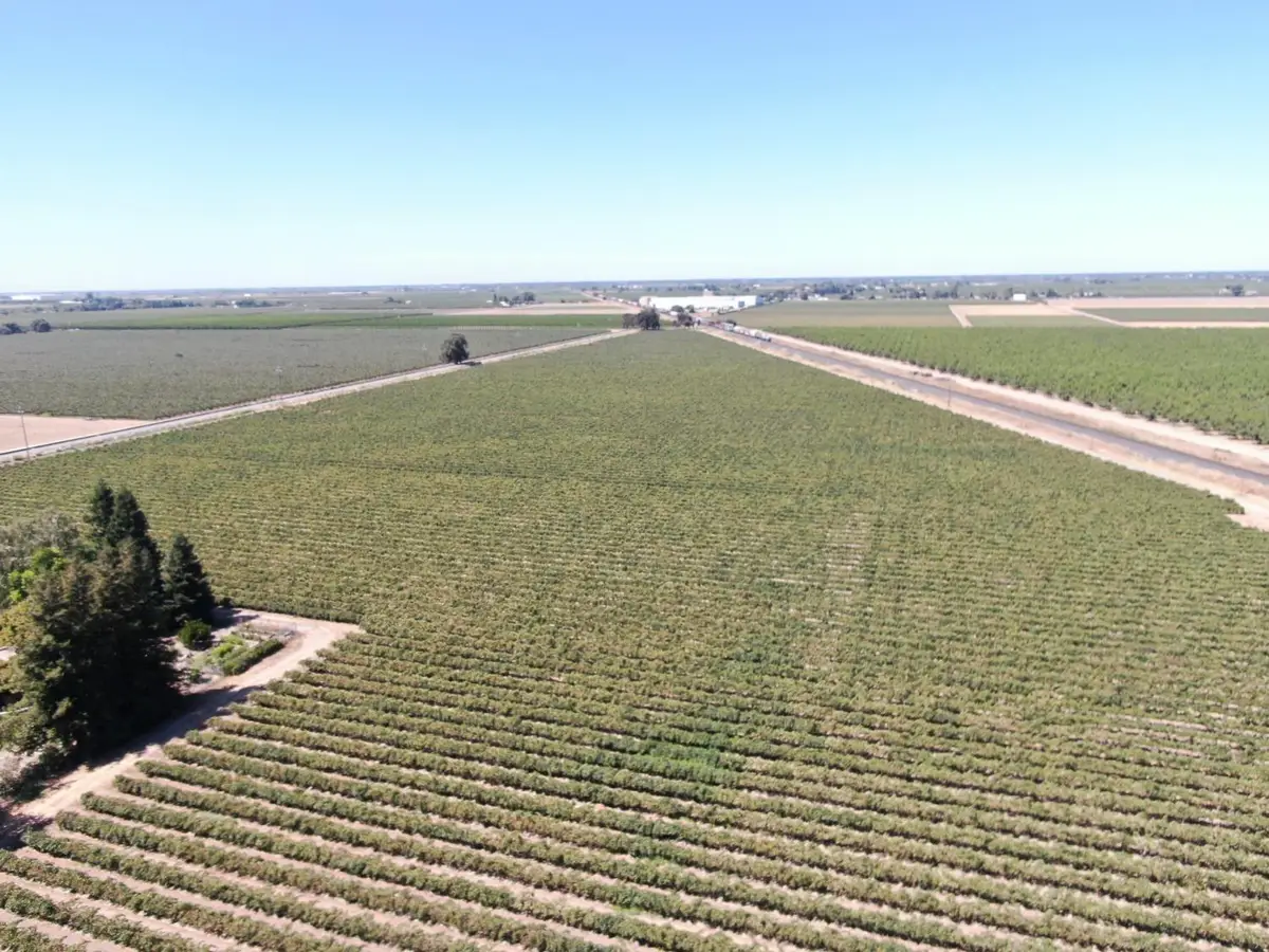 4175 W Sargent Road, Lodi, CA 95242 - Image #1