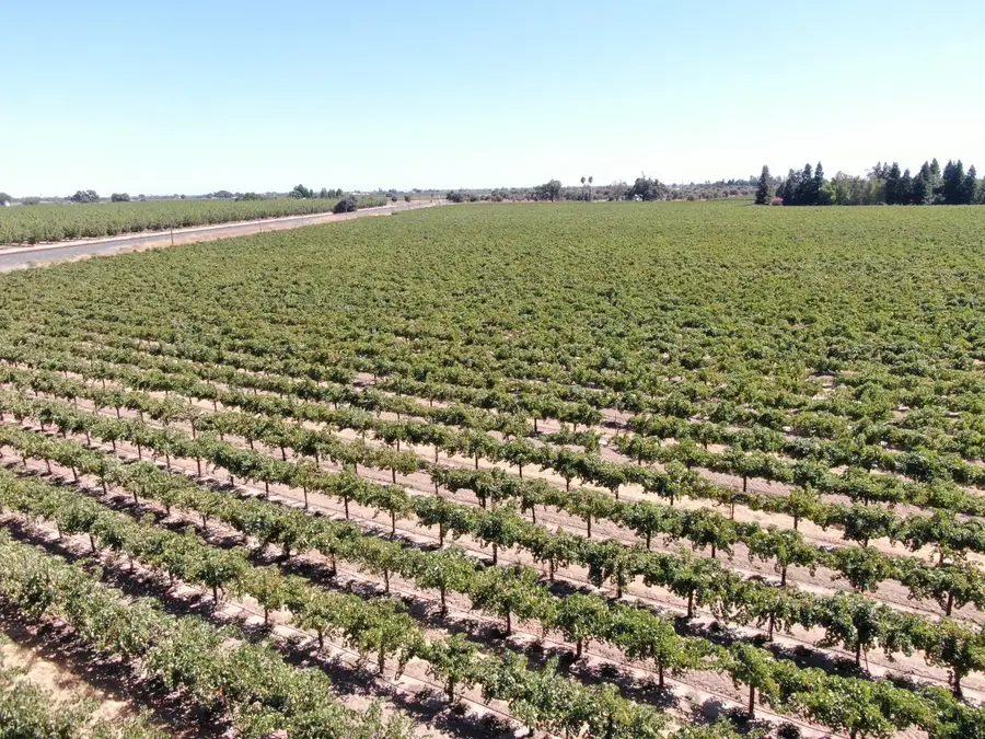 4175 W Sargent Road, Lodi, CA 95242 - Image #2