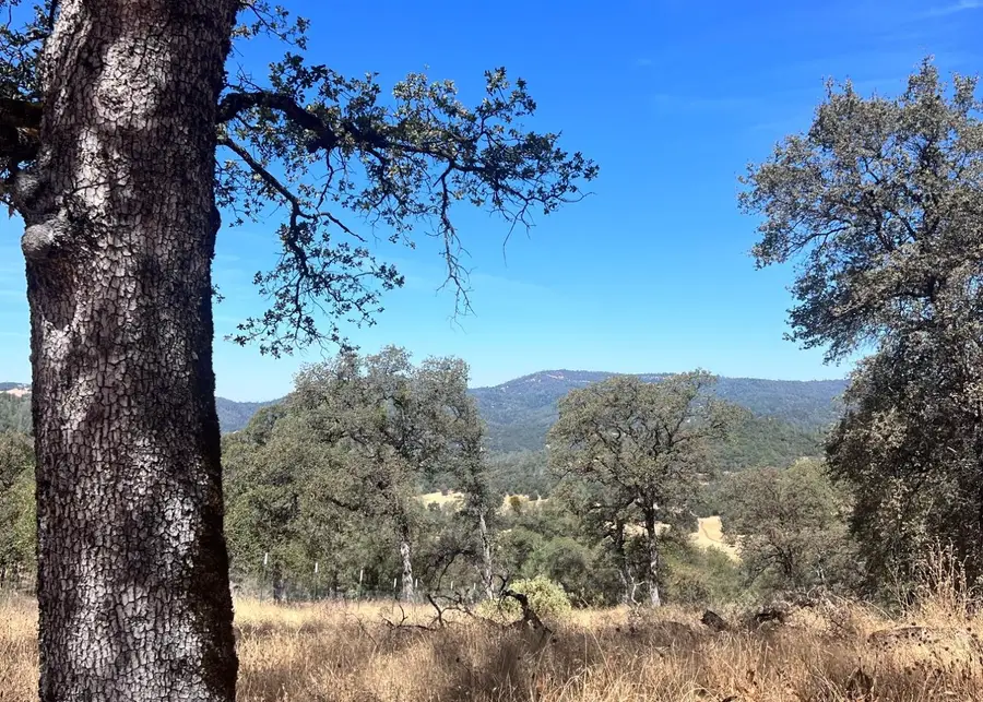 13669 Appaloosa Court, Penn Valley, CA 95946 - Image #3