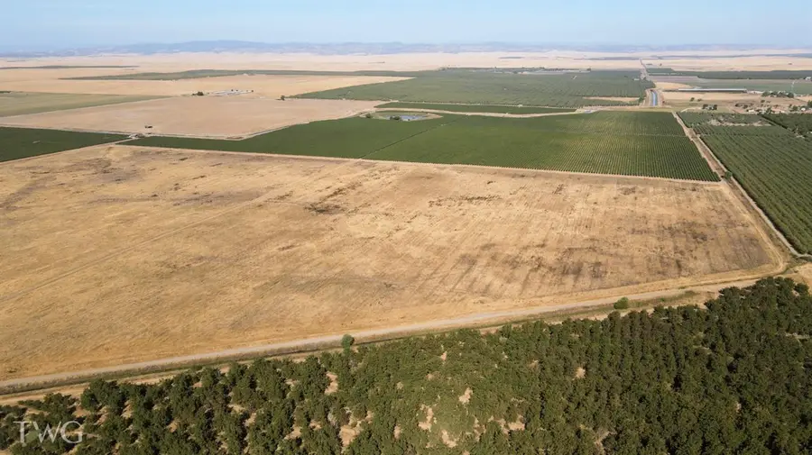 2507 S Escalon Bellota Road, Farmington, CA 95230 - Image #3