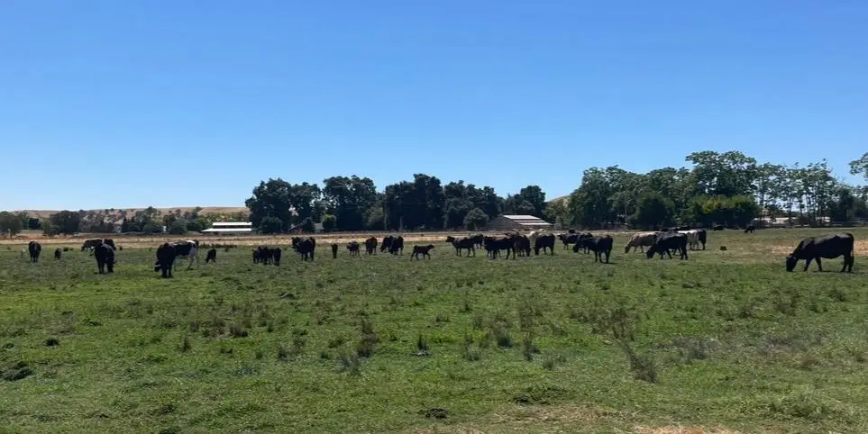 0 Morrison Road, Oakdale, CA 95361 - Image #1