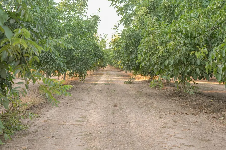 1081 E Gerard Avenue, Merced, CA 95341 - Image #2