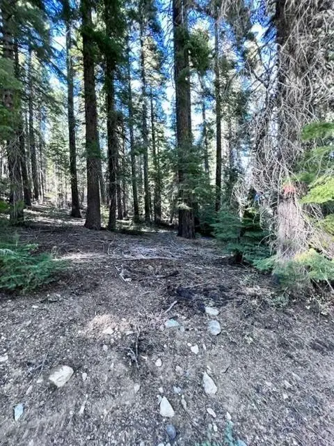 101 Snowshoe Lane, Little Grass Valley, CA 95981 - Image #1