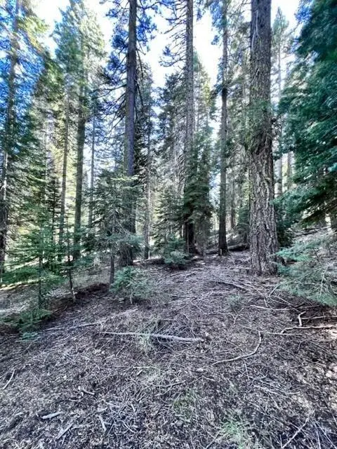 101 Snowshoe Lane, Little Grass Valley, CA 95981 - Image #3