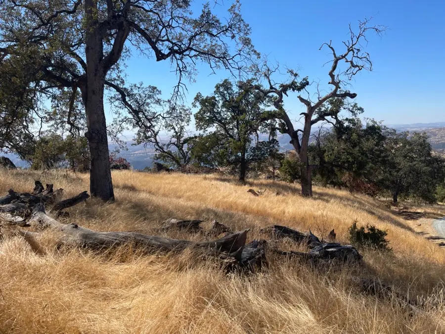0 Nancys Ridge Road, Coulterville, CA 95311 - Image #2