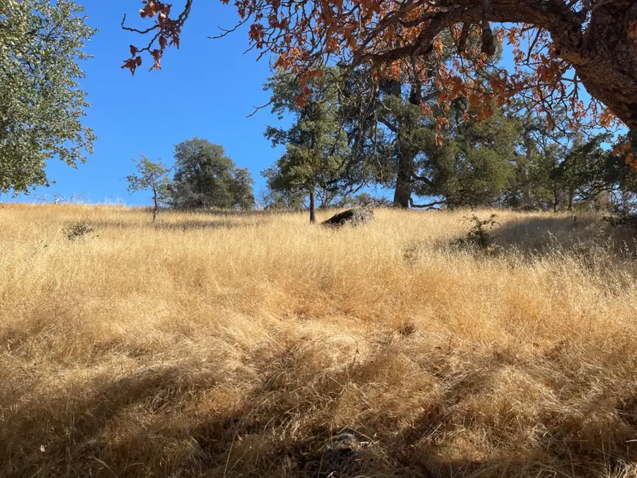0 Nancys Ridge Road, Coulterville, CA 95311 - Image #3
