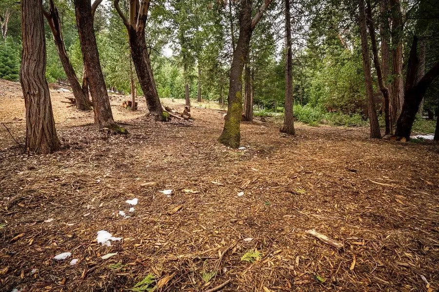 26601 Golf Links, Pioneer, CA 95666 - #3