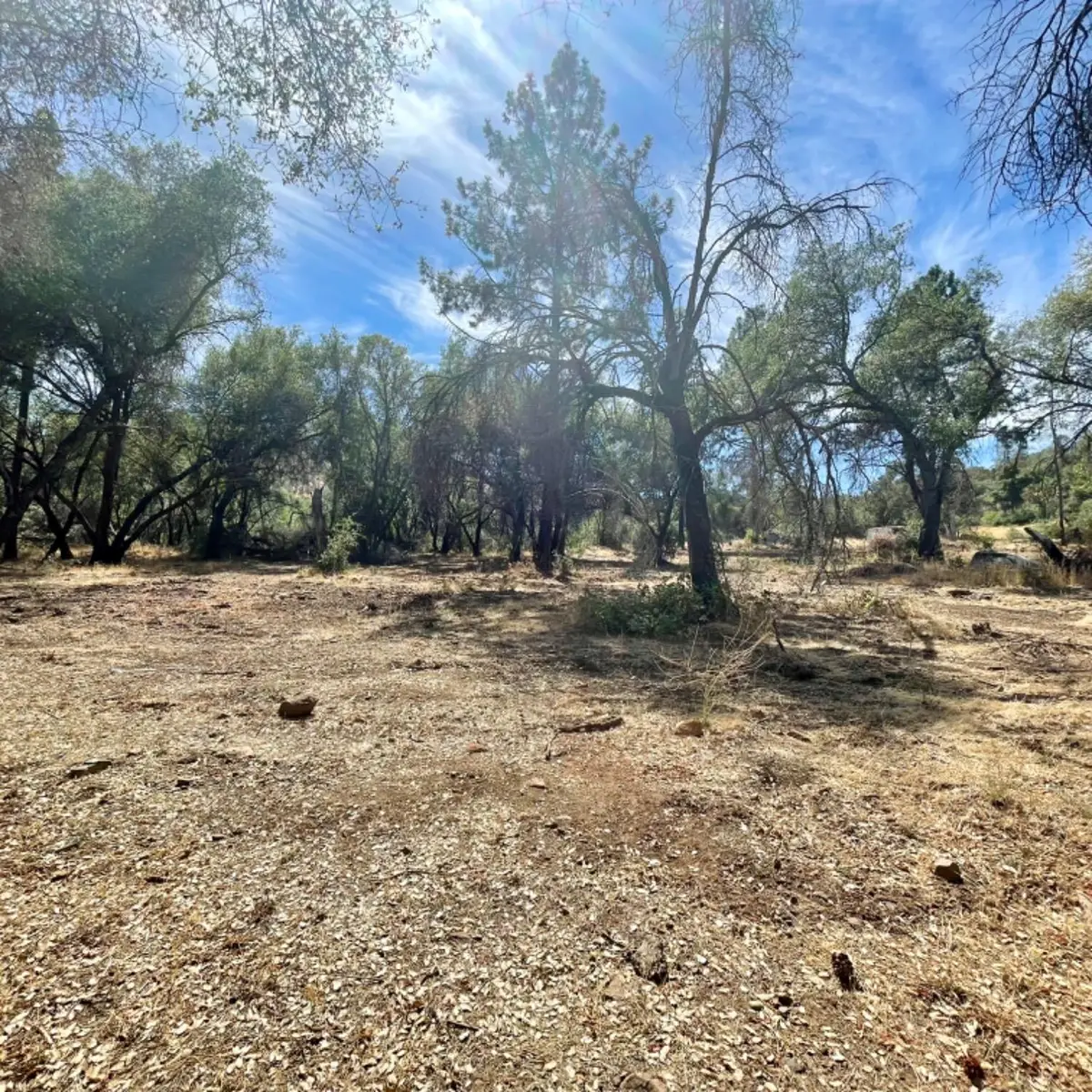 0 Darby Road, Bangor, CA 95914 - Image #1