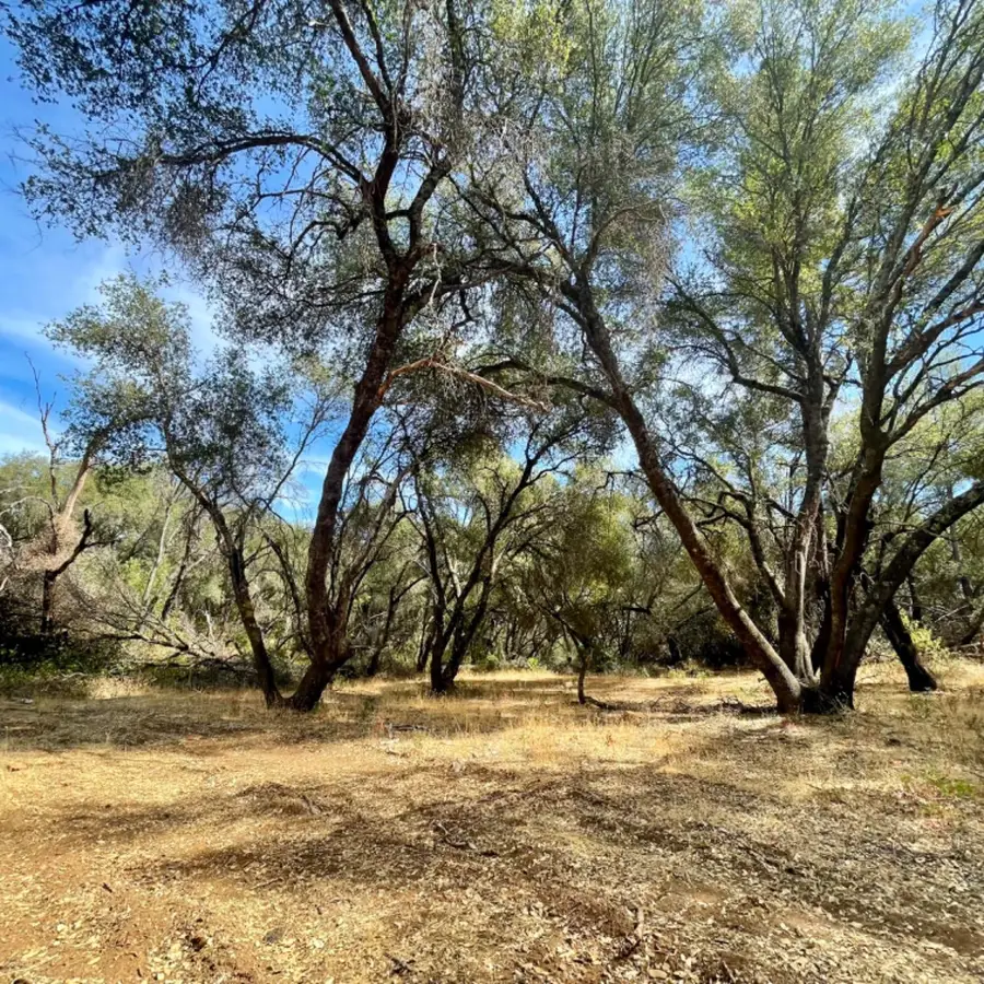 0 Darby Road, Bangor, CA 95914 - Image #2