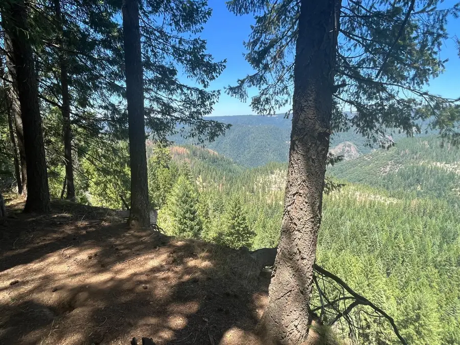 25442 Back Bone Road, Nevada City, CA 95959 - Image #2