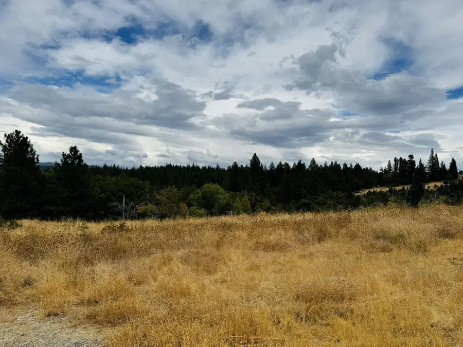 2700 Dancing Oaks Road, Camino, CA 95709 - Image #3