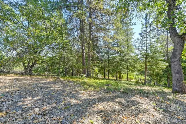 4630 Rosarno Place, Foresthill, CA 95631