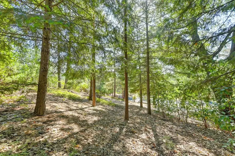 4630 Rosarno Place, Foresthill, CA 95631 - Image #3