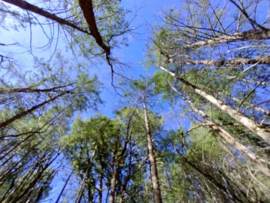 13928 Manion Canyon Road, Grass Valley, CA 95945 - Image #2