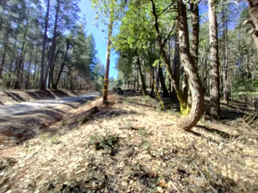 13928 Manion Canyon Road, Grass Valley, CA 95945 - Image #3