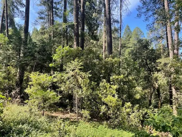 3182 Lake Avenue, Georgetown, CA 95634 - Image #3