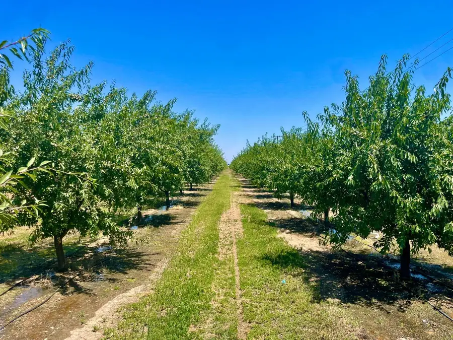 0 Whitworth Road, Gustine, CA 95322 - Image #3