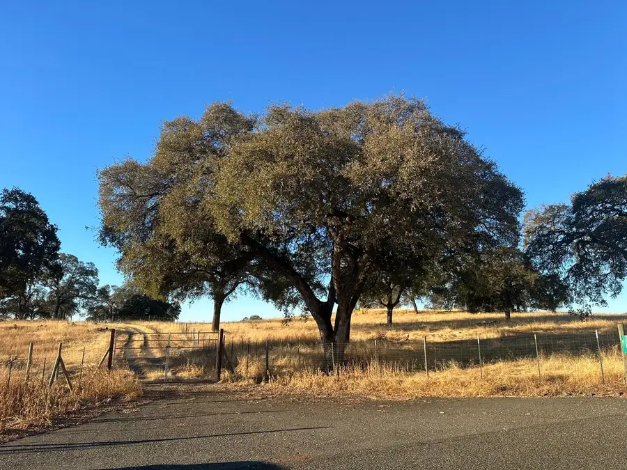 7388 Brandon Road, Shingle Springs, CA 95682 - Image #3